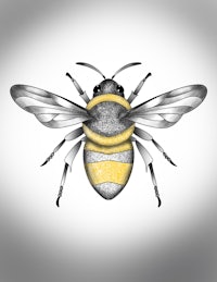 a bee with yellow stripes on a gray background