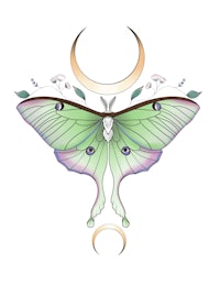a green moth with a crescent moon on its wings
