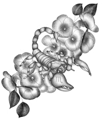a black and white drawing of a scorpion with flowers