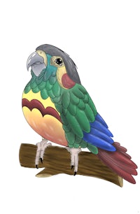 a colorful parrot sitting on a branch