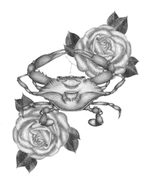 a drawing of a crab and roses