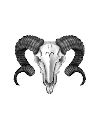 a ram skull with horns on a white background