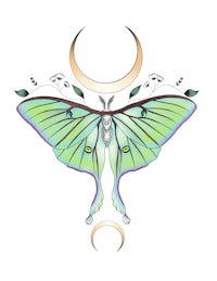 a green moth with a crescent moon on it